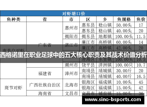 西格诺里在职业足球中的五大核心职责及其战术价值分析