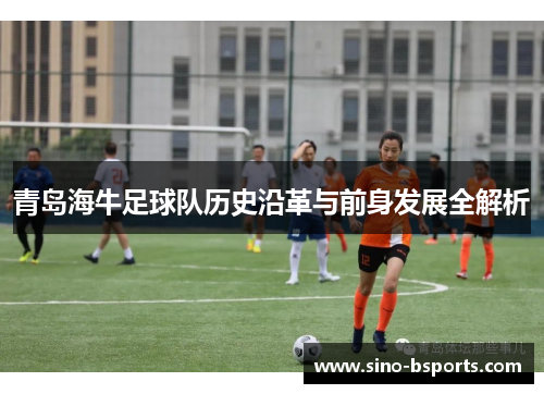 青岛海牛足球队历史沿革与前身发展全解析