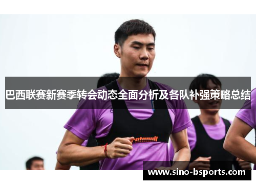 巴西联赛新赛季转会动态全面分析及各队补强策略总结