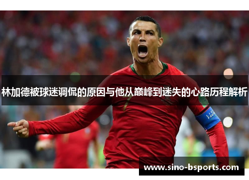 林加德被球迷调侃的原因与他从巅峰到迷失的心路历程解析 林加德被球迷调侃的原因与他从巅峰到迷失的心路历程解析