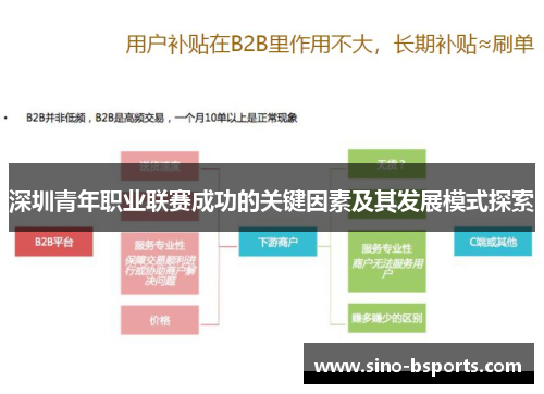 深圳青年职业联赛成功的关键因素及其发展模式探索