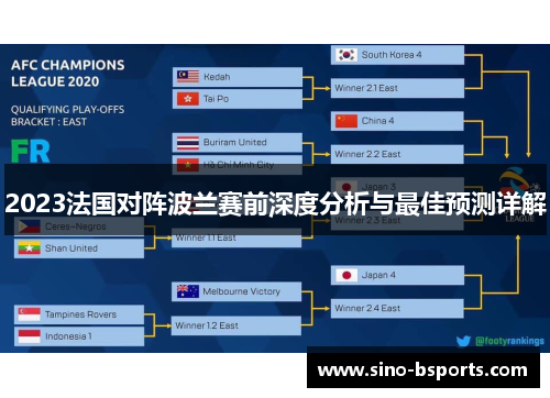 2023法国对阵波兰赛前深度分析与最佳预测详解