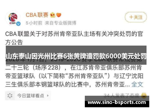 山东泰山因光州比赛6张黄牌遭罚款6000美元处罚