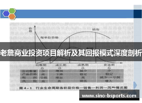 老詹商业投资项目解析及其回报模式深度剖析 老詹商业投资项目解析及其回报模式深度剖析