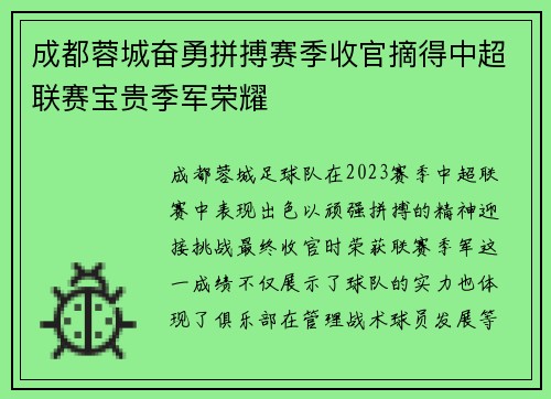 成都蓉城奋勇拼搏赛季收官摘得中超联赛宝贵季军荣耀 成都蓉城奋勇拼搏赛季收官摘得中超联赛宝贵季军荣耀